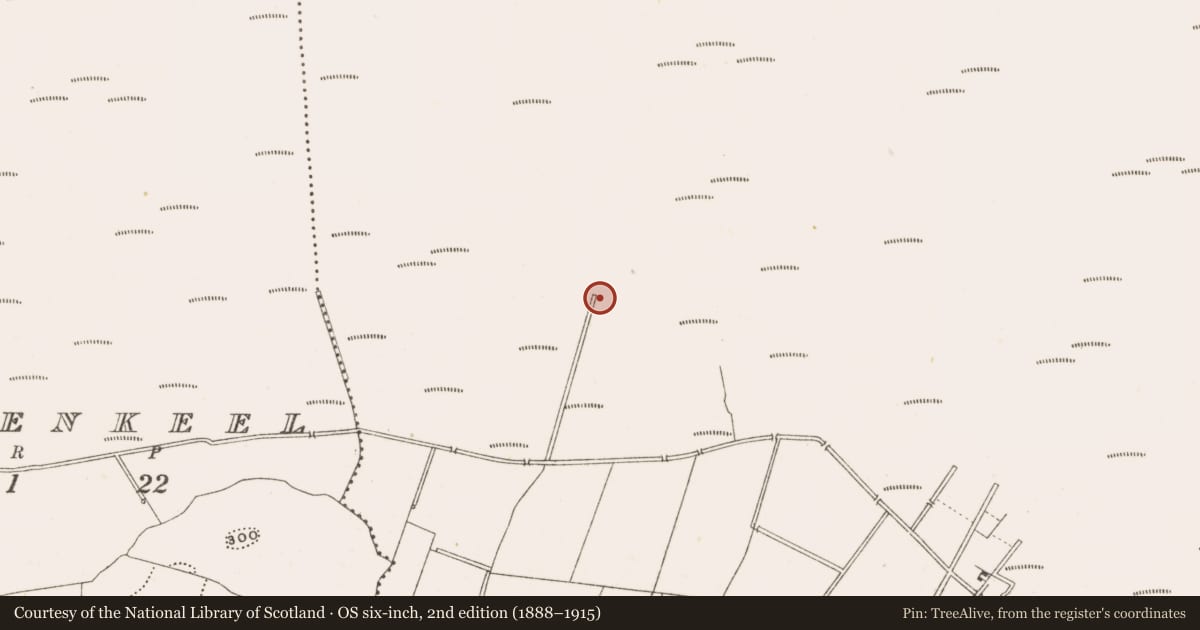 Ordnance Survey six-inch map, 2nd edition (1888–1915) covering the location of Road - class 3 togher, Ballynakill, County Offaly, with a pin at the register's coordinates
