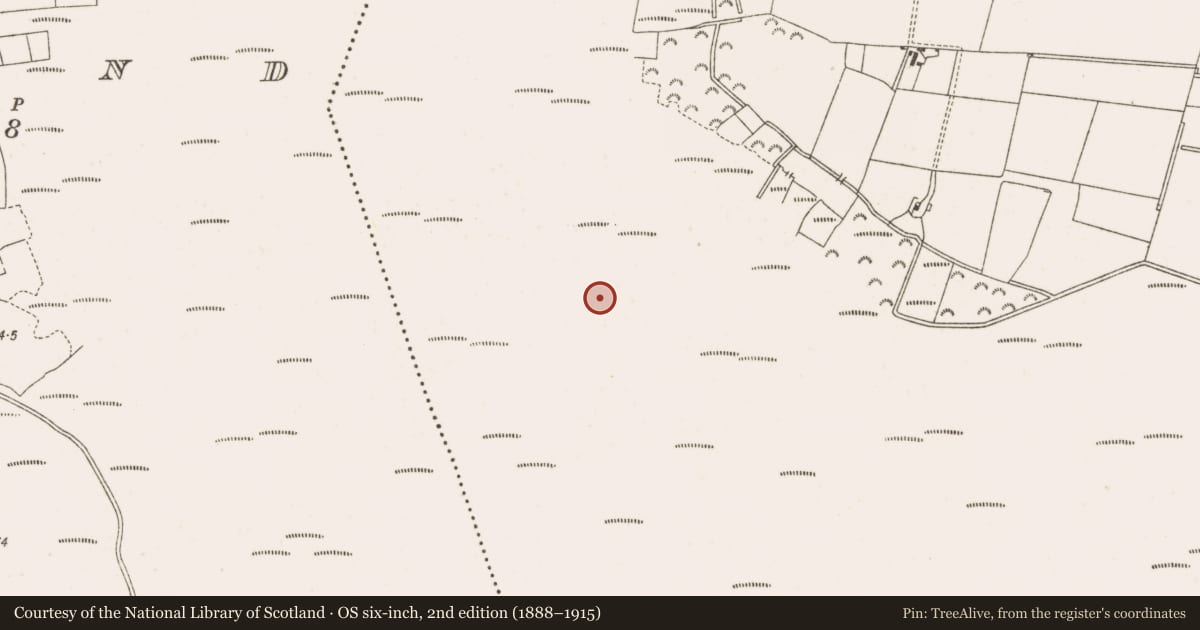 Ordnance Survey six-inch map, 2nd edition (1888–1915) covering the location of Road - class 3 togher, Clonarrow Or Riverlyons, County Offaly, with a pin at the register's coordinates