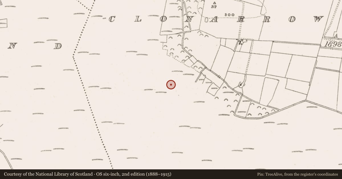 Ordnance Survey six-inch map, 2nd edition (1888–1915) covering the location of Structure - peatland, Clonarrow Or Riverlyons, County Offaly, with a pin at the register's coordinates