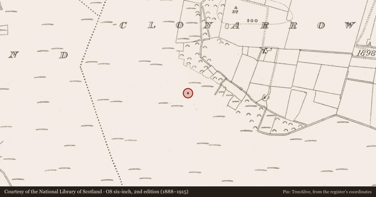 Ordnance Survey six-inch map, 2nd edition (1888–1915) covering the location of Road - class 3 togher, Clonarrow Or Riverlyons, County Offaly, with a pin at the register's coordinates