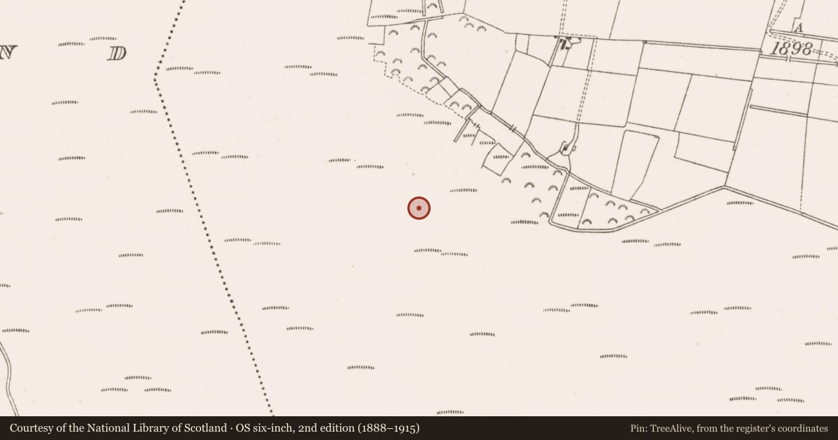 Ordnance Survey six-inch map, 2nd edition (1888–1915) covering the location of Structure - peatland, Clonarrow Or Riverlyons, County Offaly, with a pin at the register's coordinates
