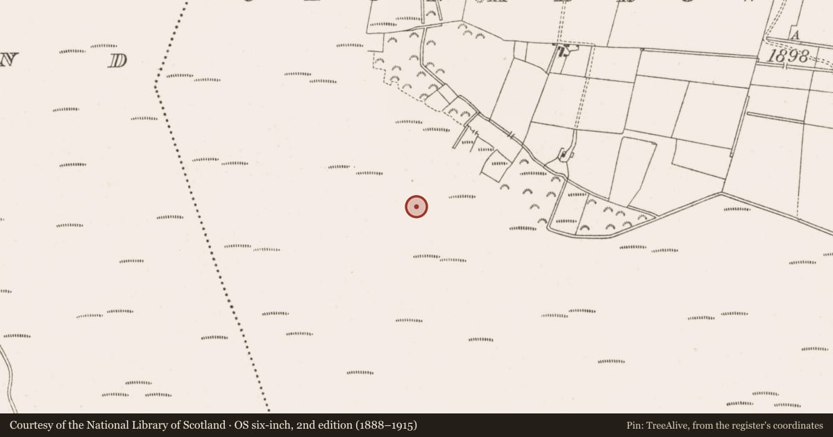 Ordnance Survey six-inch map, 2nd edition (1888–1915) covering the location of Structure - peatland, Clonarrow Or Riverlyons, County Offaly, with a pin at the register's coordinates