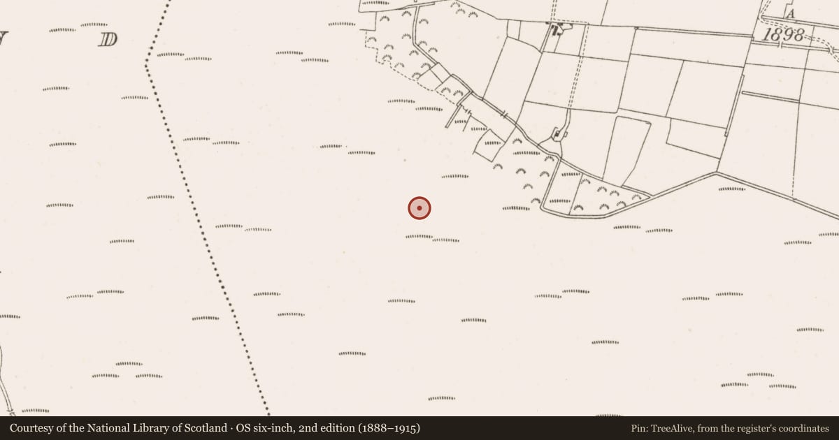 Ordnance Survey six-inch map, 2nd edition (1888–1915) covering the location of Structure - peatland, Clonarrow Or Riverlyons, County Offaly, with a pin at the register's coordinates