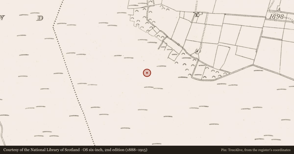 Ordnance Survey six-inch map, 2nd edition (1888–1915) covering the location of Structure - peatland, Clonarrow Or Riverlyons, County Offaly, with a pin at the register's coordinates
