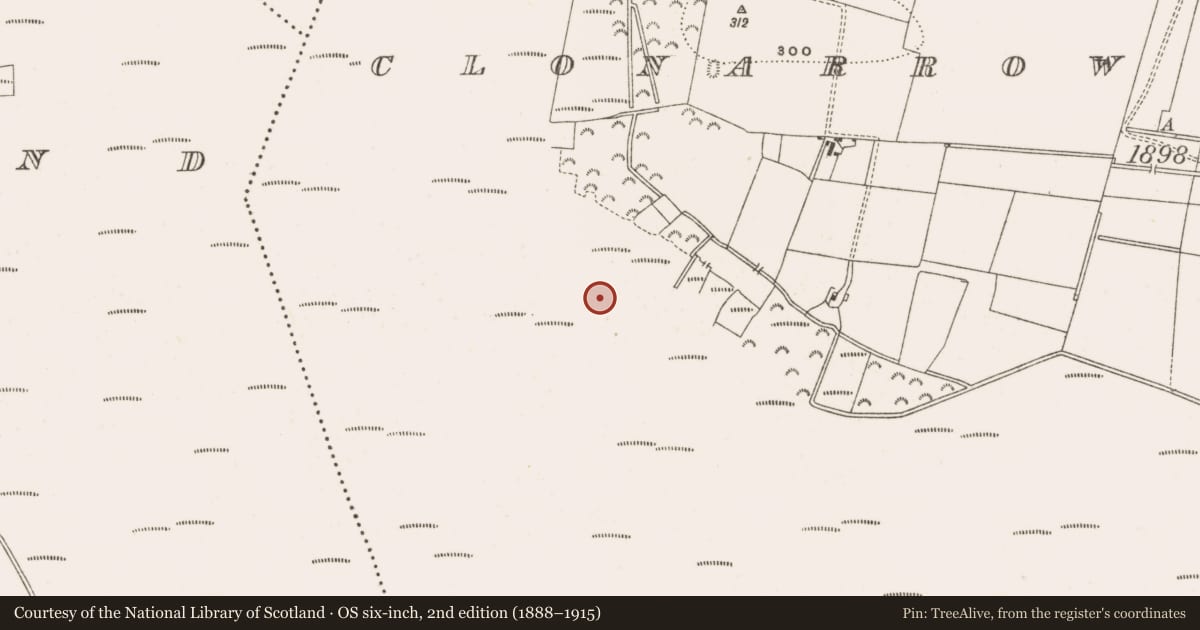 Ordnance Survey six-inch map, 2nd edition (1888–1915) covering the location of Structure - peatland, Clonarrow Or Riverlyons, County Offaly, with a pin at the register's coordinates