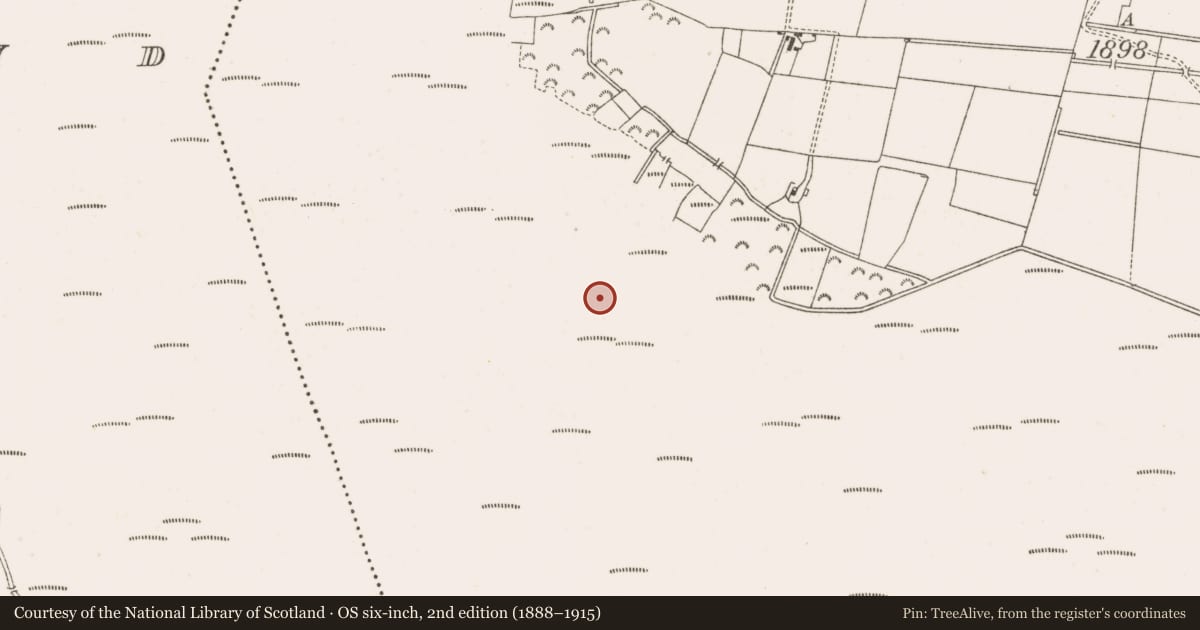 Ordnance Survey six-inch map, 2nd edition (1888–1915) covering the location of Structure - peatland, Clonarrow Or Riverlyons, County Offaly, with a pin at the register's coordinates