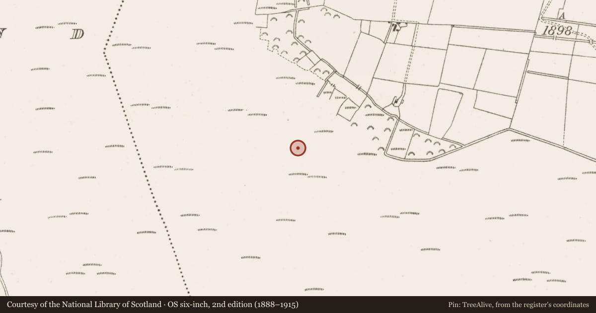 Ordnance Survey six-inch map, 2nd edition (1888–1915) covering the location of Structure - peatland, Clonarrow Or Riverlyons, County Offaly, with a pin at the register's coordinates