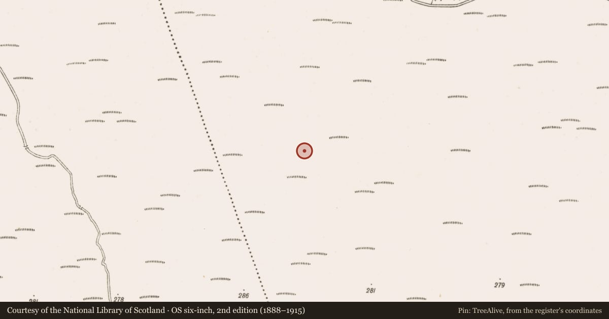 Ordnance Survey six-inch map, 2nd edition (1888–1915) covering the location of Post row - peatland, Clonarrow Or Riverlyons, County Offaly, with a pin at the register's coordinates