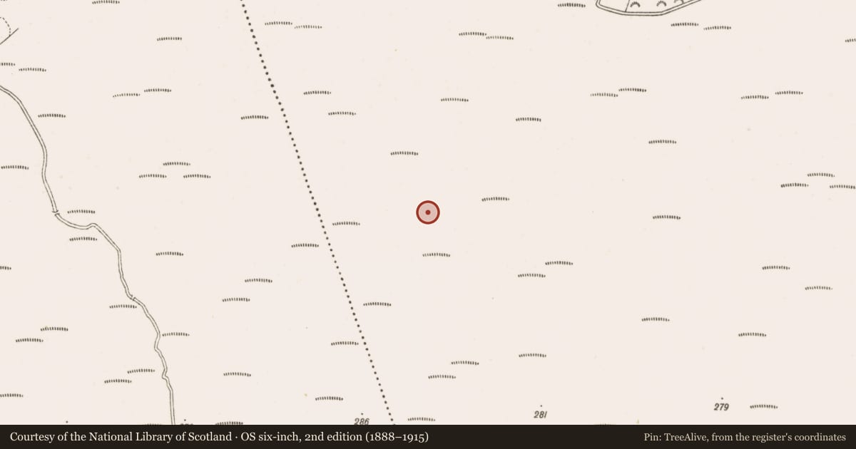 Ordnance Survey six-inch map, 2nd edition (1888–1915) covering the location of Structure - peatland, Clonarrow Or Riverlyons, County Offaly, with a pin at the register's coordinates