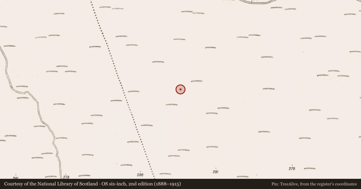 Ordnance Survey six-inch map, 2nd edition (1888–1915) covering the location of Road - class 3 togher, Clonarrow Or Riverlyons, County Offaly, with a pin at the register's coordinates