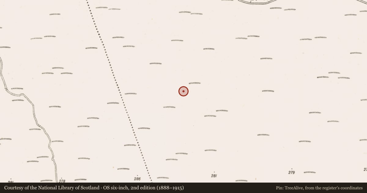 Ordnance Survey six-inch map, 2nd edition (1888–1915) covering the location of Structure - peatland, Clonarrow Or Riverlyons, County Offaly, with a pin at the register's coordinates