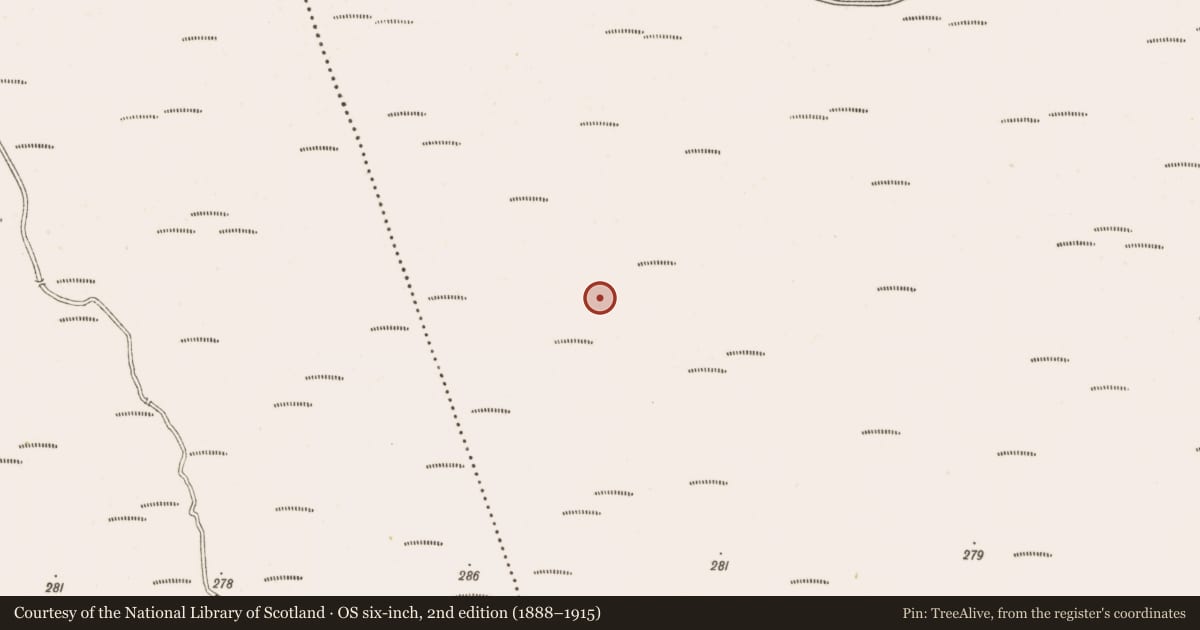 Ordnance Survey six-inch map, 2nd edition (1888–1915) covering the location of Structure - peatland, Clonarrow Or Riverlyons, County Offaly, with a pin at the register's coordinates