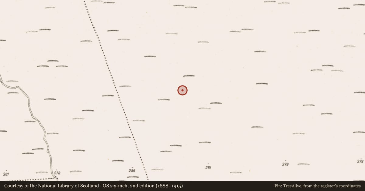 Ordnance Survey six-inch map, 2nd edition (1888–1915) covering the location of Structure - peatland, Clonarrow Or Riverlyons, County Offaly, with a pin at the register's coordinates