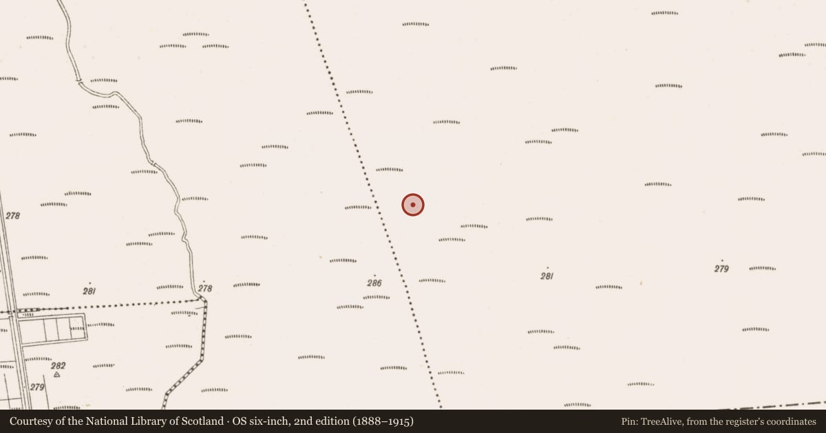 Ordnance Survey six-inch map, 2nd edition (1888–1915) covering the location of Road - class 3 togher, Clonarrow Or Riverlyons, County Offaly, with a pin at the register's coordinates