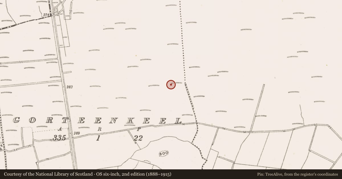 Ordnance Survey six-inch map, 2nd edition (1888–1915) covering the location of Structure - peatland, Gorteenkeel, County Offaly, with a pin at the register's coordinates