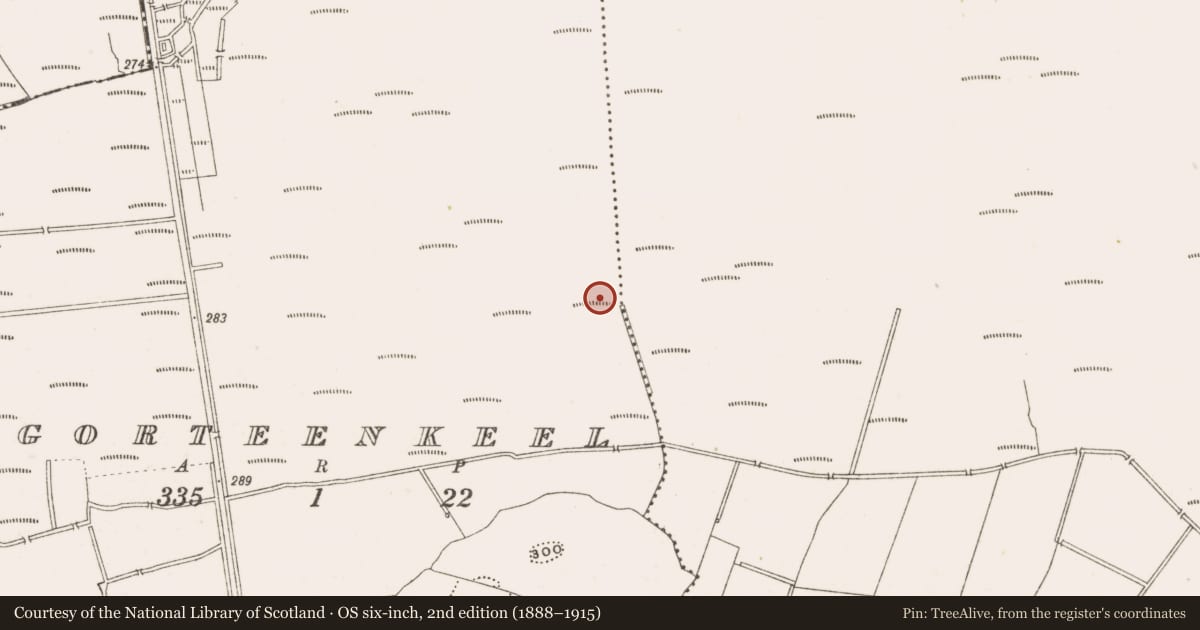Ordnance Survey six-inch map, 2nd edition (1888–1915) covering the location of Structure - peatland, Gorteenkeel, County Offaly, with a pin at the register's coordinates