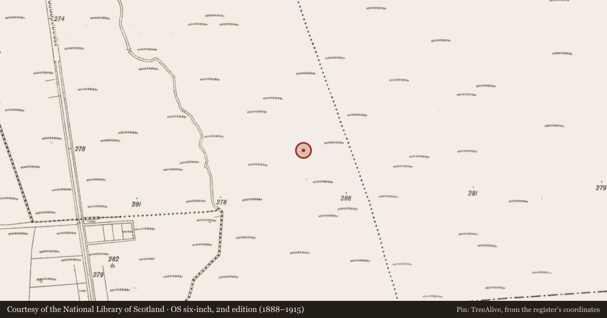 Ordnance Survey six-inch map, 2nd edition (1888–1915) covering the location of Post row - peatland, Island, County Offaly, with a pin at the register's coordinates