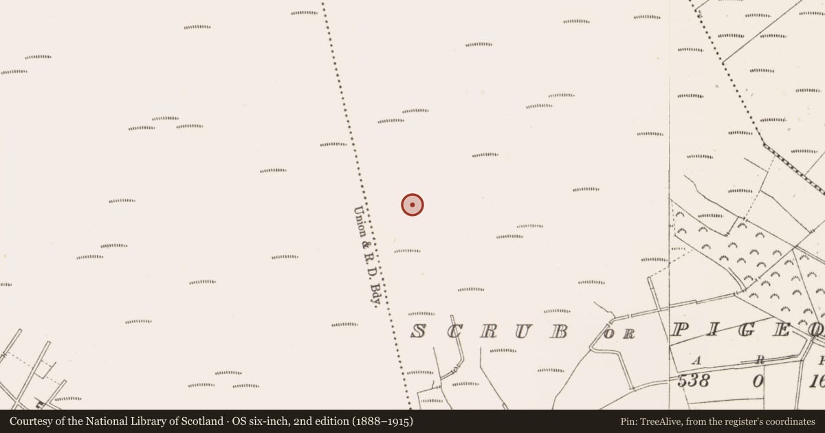 Ordnance Survey six-inch map, 2nd edition (1888–1915) covering the location of Road - class 3 togher, Scrub Or Pigeonpark, County Offaly, with a pin at the register's coordinates