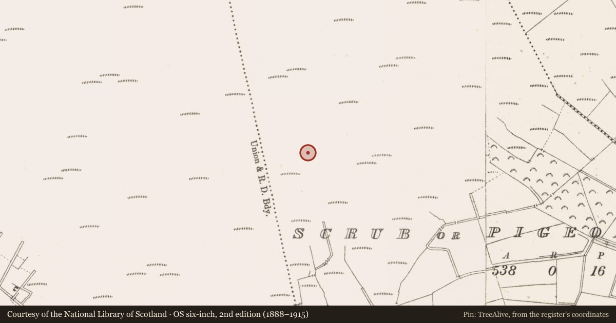 Ordnance Survey six-inch map, 2nd edition (1888–1915) covering the location of Road - class 3 togher, Scrub Or Pigeonpark, County Offaly, with a pin at the register's coordinates