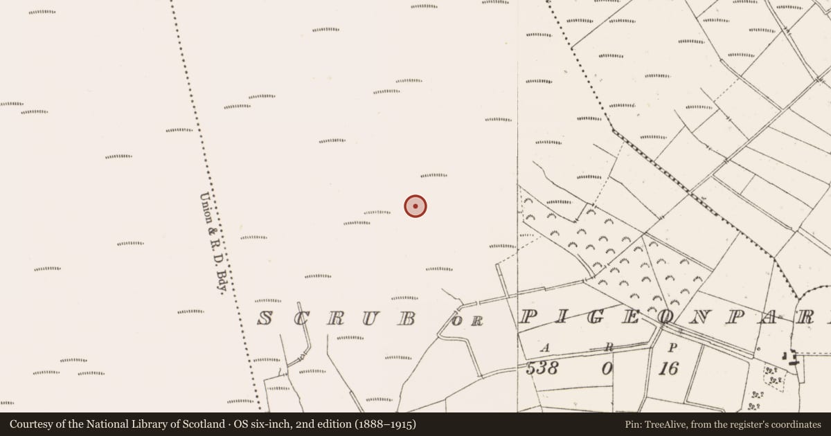 Ordnance Survey six-inch map, 2nd edition (1888–1915) covering the location of Structure - peatland, Scrub Or Pigeonpark, County Offaly, with a pin at the register's coordinates