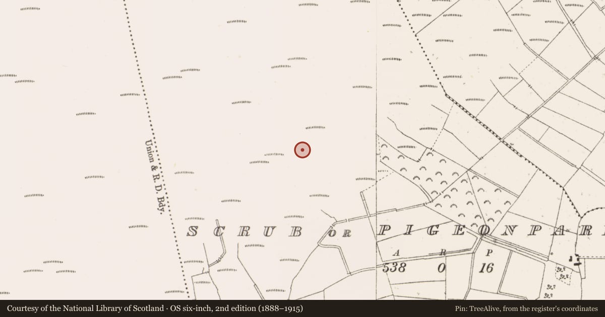 Ordnance Survey six-inch map, 2nd edition (1888–1915) covering the location of Structure - peatland, Scrub Or Pigeonpark, County Offaly, with a pin at the register's coordinates