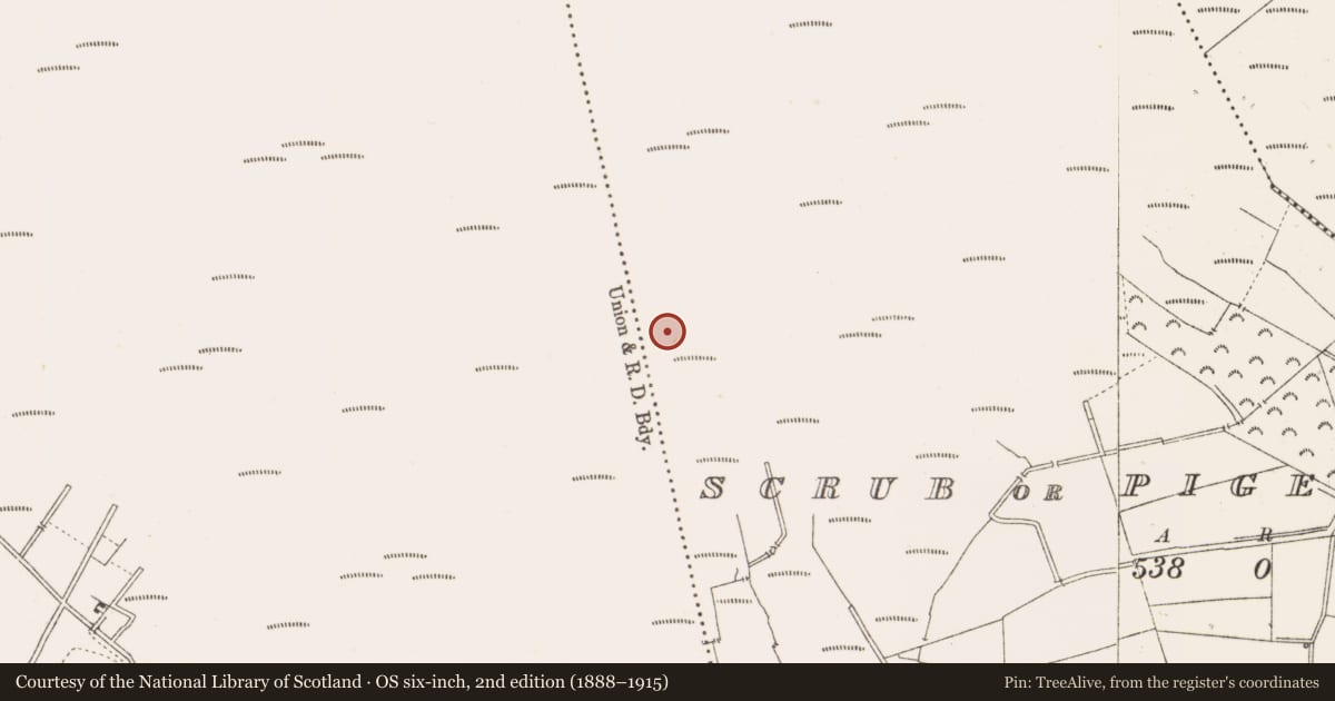 Ordnance Survey six-inch map, 2nd edition (1888–1915) covering the location of Road - class 2 togher, Scrub Or Pigeonpark, County Offaly, with a pin at the register's coordinates