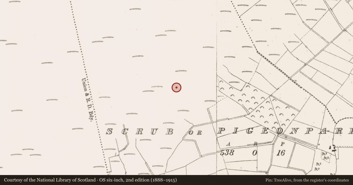 Ordnance Survey six-inch map, 2nd edition (1888–1915) covering the location of Structure - peatland, Scrub Or Pigeonpark, County Offaly, with a pin at the register's coordinates