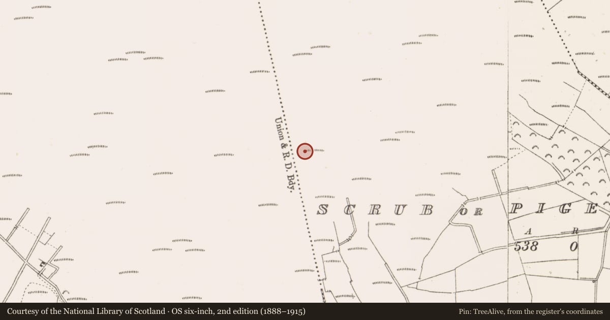 Ordnance Survey six-inch map, 2nd edition (1888–1915) covering the location of Road - class 3 togher, Scrub Or Pigeonpark, County Offaly, with a pin at the register's coordinates