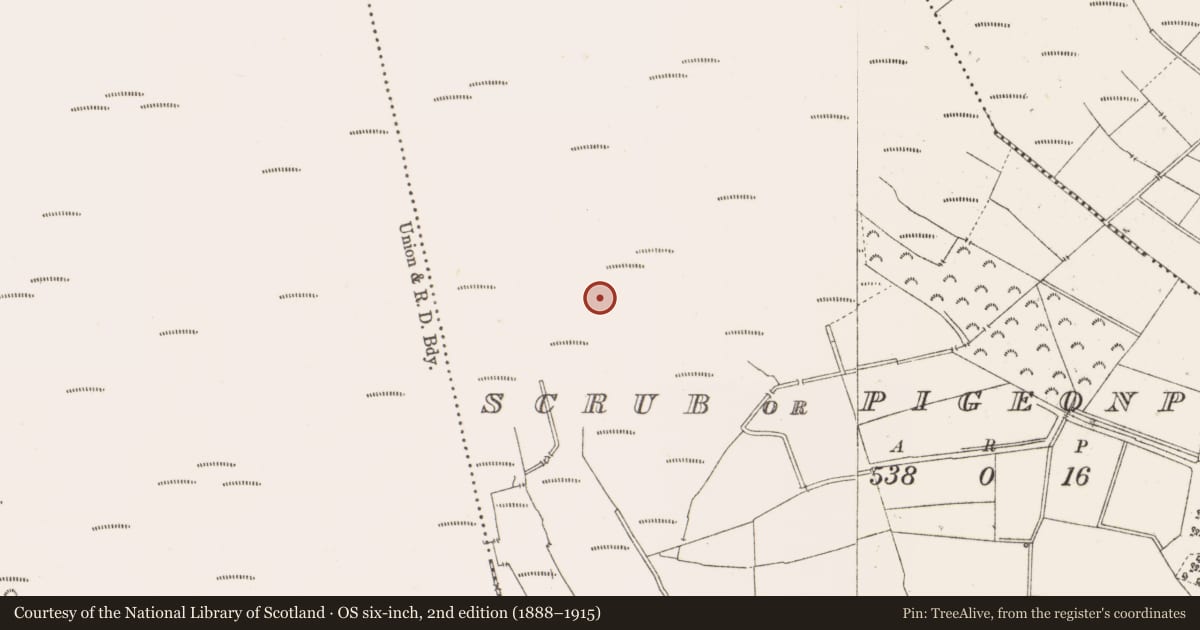 Ordnance Survey six-inch map, 2nd edition (1888–1915) covering the location of Structure - peatland, Scrub Or Pigeonpark, County Offaly, with a pin at the register's coordinates
