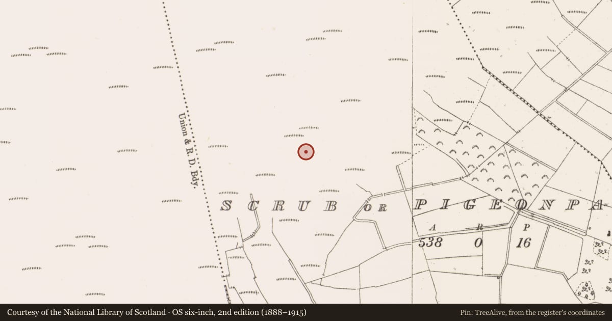 Ordnance Survey six-inch map, 2nd edition (1888–1915) covering the location of Structure - peatland, Scrub Or Pigeonpark, County Offaly, with a pin at the register's coordinates