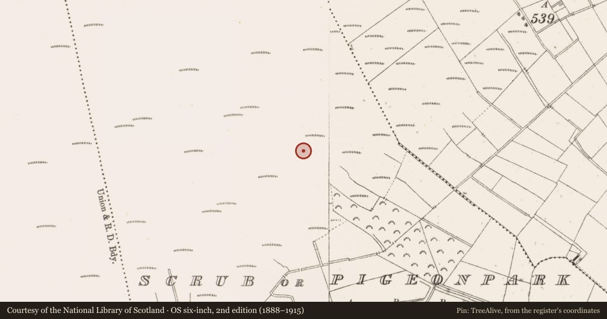 Ordnance Survey six-inch map, 2nd edition (1888–1915) covering the location of Structure - peatland, Scrub Or Pigeonpark, County Offaly, with a pin at the register's coordinates