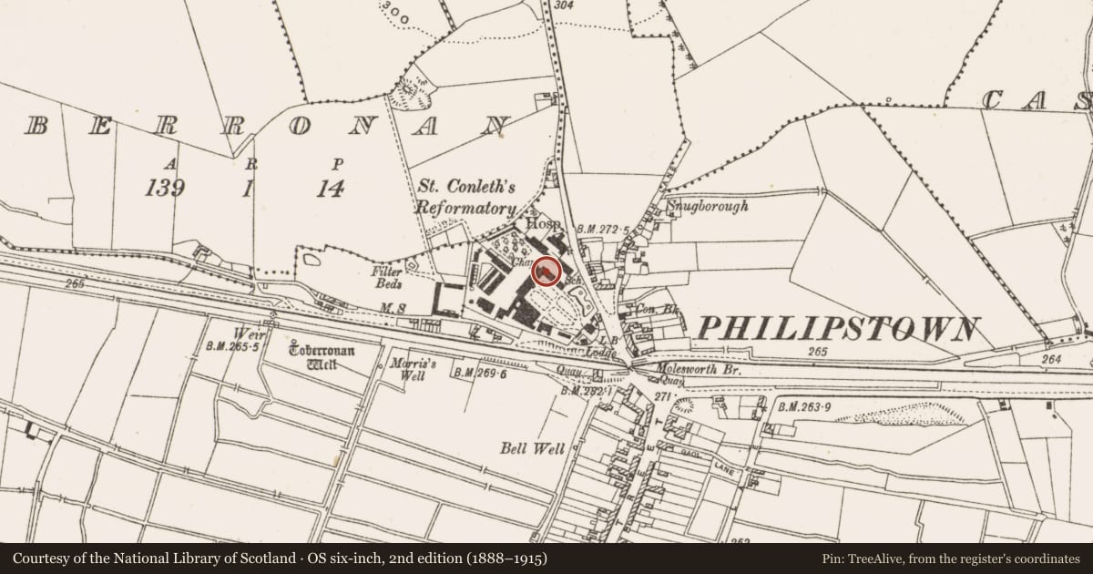 Ordnance Survey six-inch map, 2nd edition (1888–1915) covering the location of Ogham stone (present location), Townparks, County Offaly, with a pin at the register's coordinates
