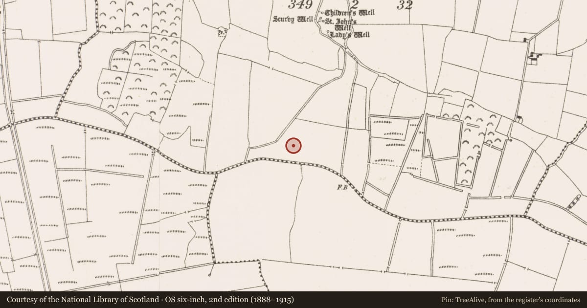 Ordnance Survey six-inch map, 2nd edition (1888–1915) covering the location of Enclosure, Toberleheen, County Offaly, with a pin at the register's coordinates