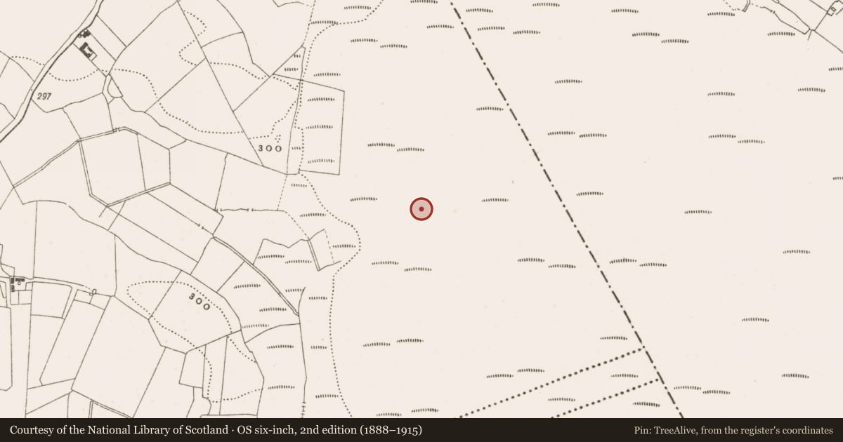 Ordnance Survey six-inch map, 2nd edition (1888–1915) covering the location of Road - class 2 togher, Knockballyboy, County Offaly, with a pin at the register's coordinates