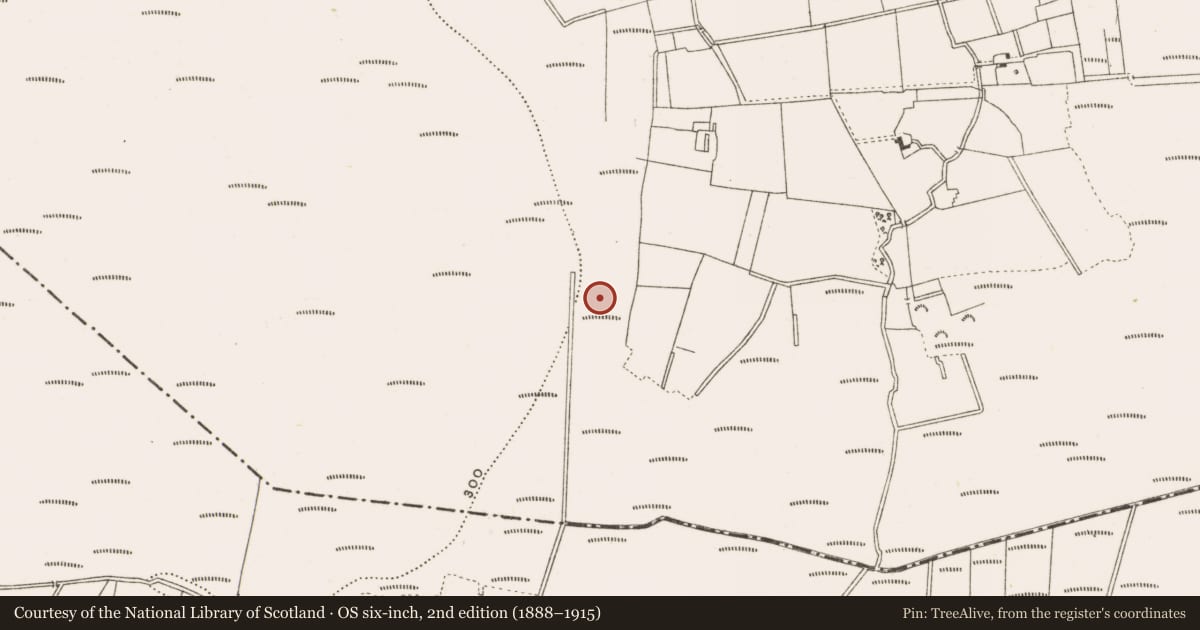 Ordnance Survey six-inch map, 2nd edition (1888–1915) covering the location of Platform - peatland, Clonad, County Offaly, with a pin at the register's coordinates