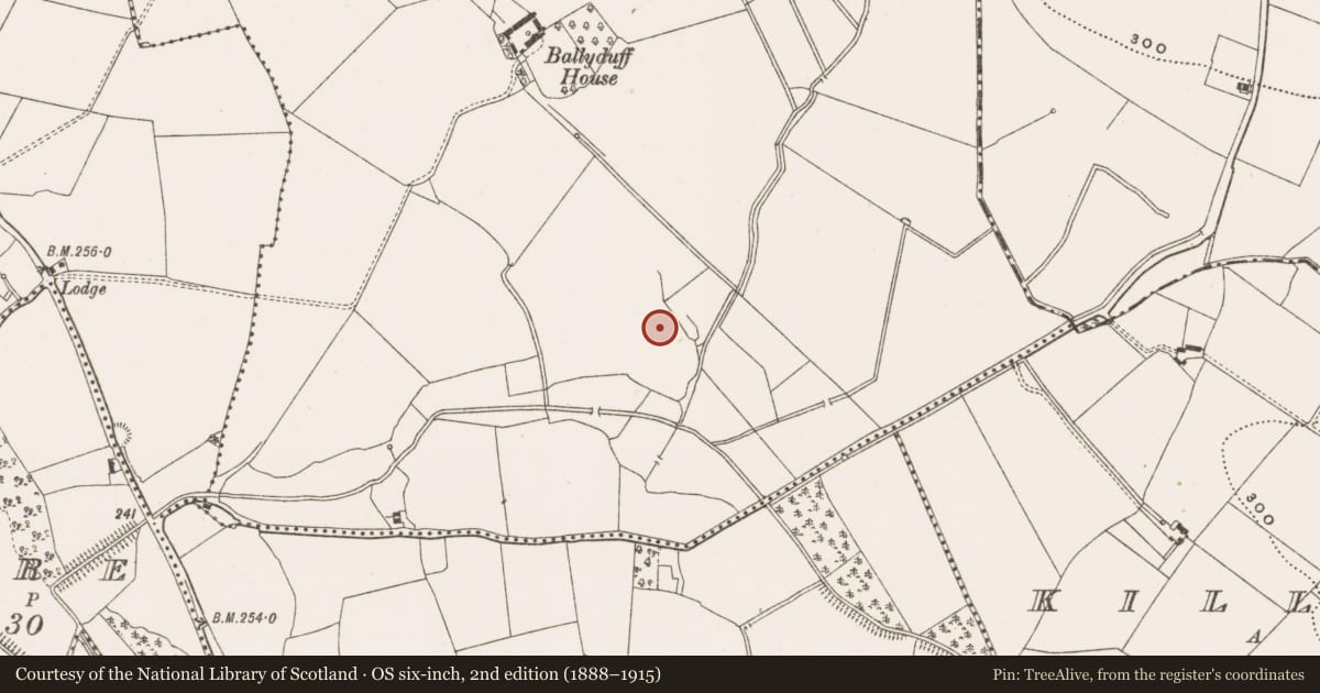 Ordnance Survey six-inch map, 2nd edition (1888–1915) covering the location of Enclosure, Ballyduff South, County Offaly, with a pin at the register's coordinates