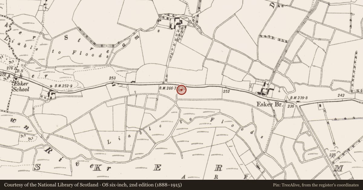 Ordnance Survey six-inch map, 2nd edition (1888–1915) covering the location of Enclosure, Esker More, County Offaly, with a pin at the register's coordinates