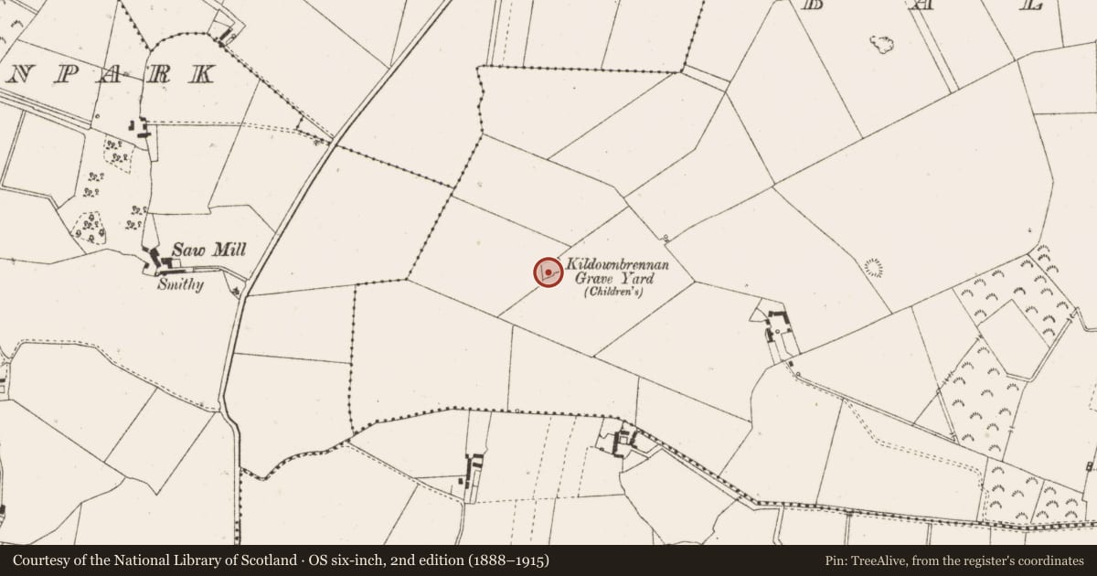 Ordnance Survey six-inch map, 2nd edition (1888–1915) covering the location of Children's burial ground, Ballaghassaan, County Offaly, with a pin at the register's coordinates
