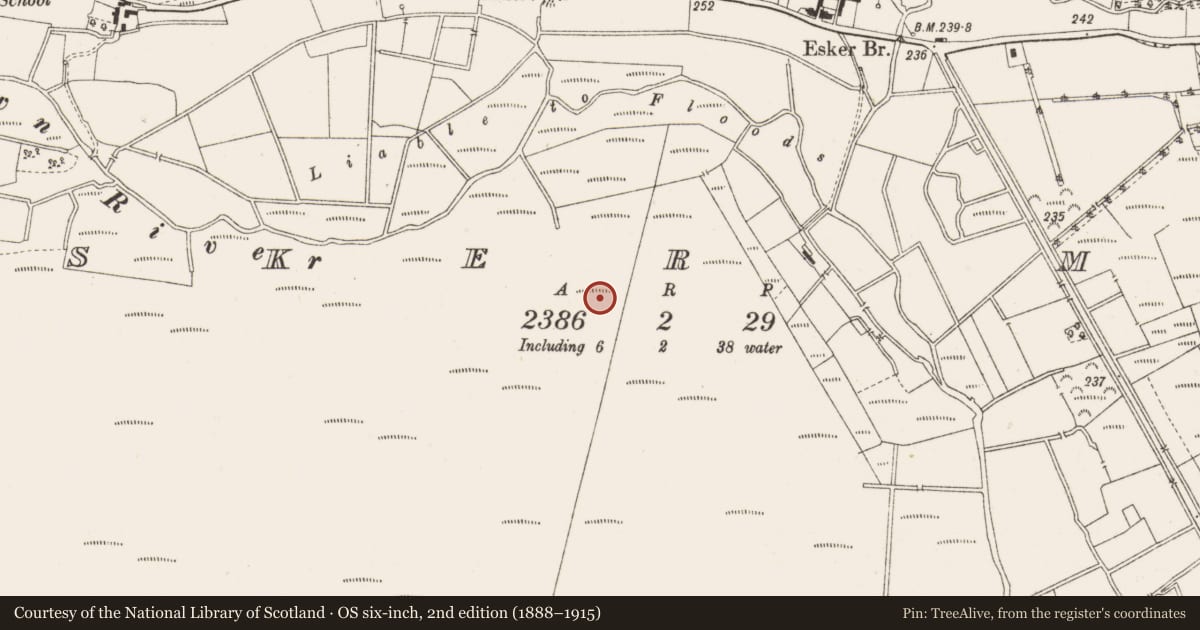 Ordnance Survey six-inch map, 2nd edition (1888–1915) covering the location of Structure - peatland, Esker More, County Offaly, with a pin at the register's coordinates
