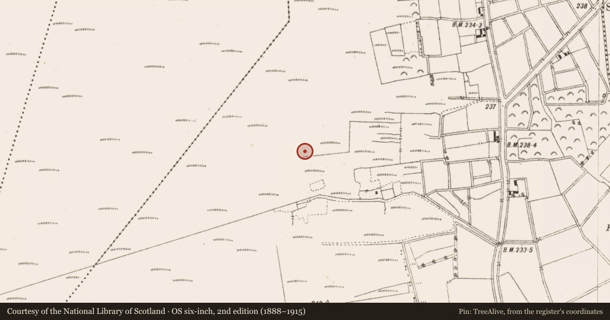 Ordnance Survey six-inch map, 2nd edition (1888–1915) covering the location of Road - class 3 togher, Ballykilleen, County Offaly, with a pin at the register's coordinates