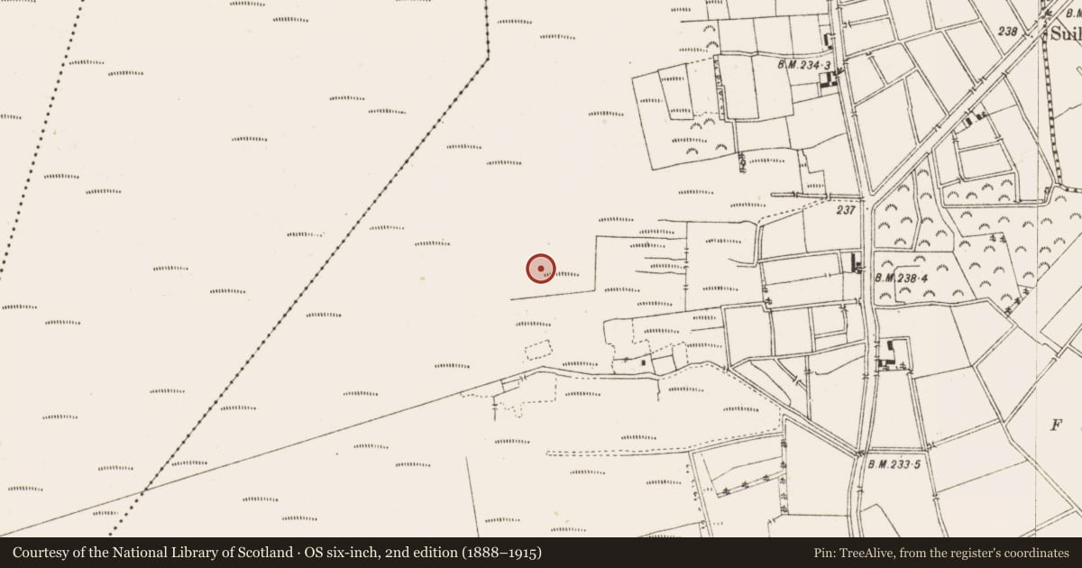 Ordnance Survey six-inch map, 2nd edition (1888–1915) covering the location of Road - class 3 togher, Ballykilleen, County Offaly, with a pin at the register's coordinates