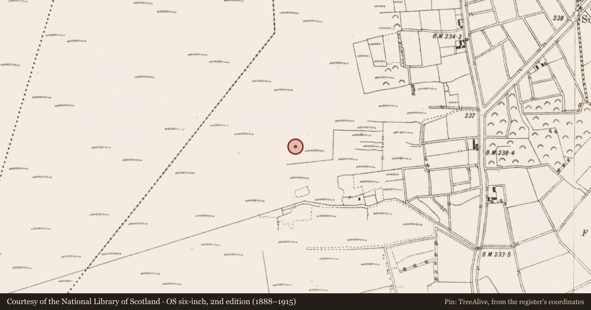 Ordnance Survey six-inch map, 2nd edition (1888–1915) covering the location of Structure - peatland, Ballykilleen, County Offaly, with a pin at the register's coordinates