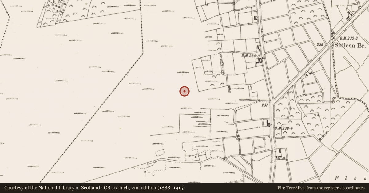 Ordnance Survey six-inch map, 2nd edition (1888–1915) covering the location of Structure - peatland, Ballykilleen, County Offaly, with a pin at the register's coordinates