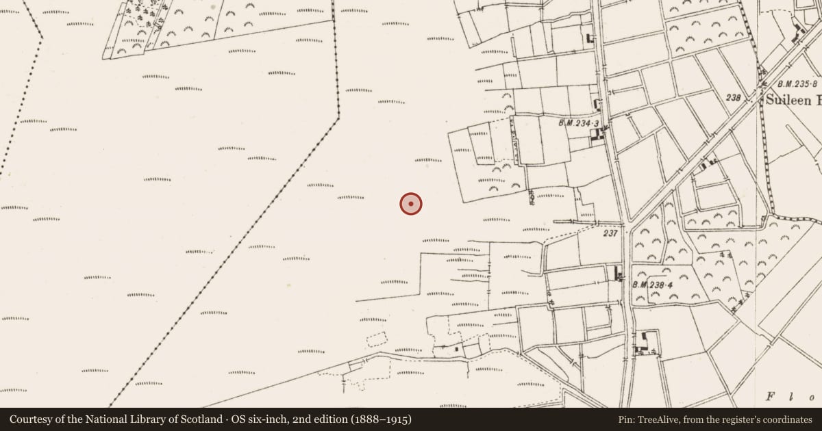 Ordnance Survey six-inch map, 2nd edition (1888–1915) covering the location of Structure - peatland, Ballykilleen, County Offaly, with a pin at the register's coordinates