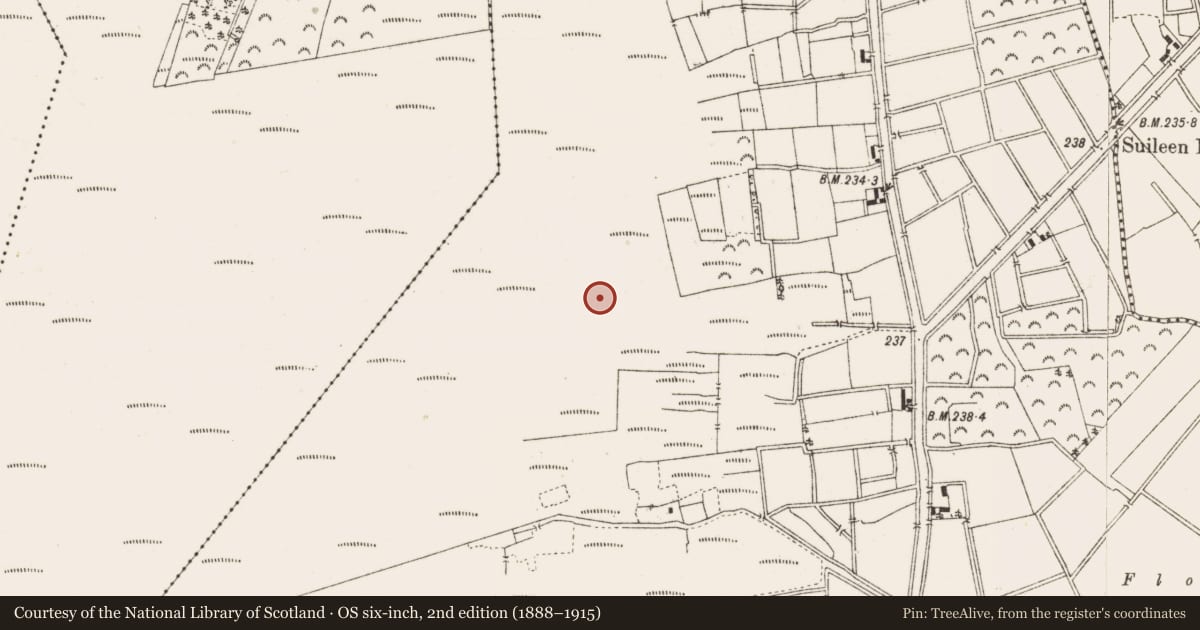 Ordnance Survey six-inch map, 2nd edition (1888–1915) covering the location of Road - class 3 togher, Ballykilleen, County Offaly, with a pin at the register's coordinates