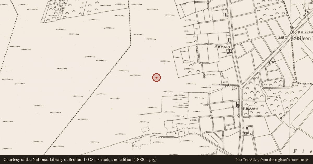 Ordnance Survey six-inch map, 2nd edition (1888–1915) covering the location of Structure - peatland, Ballykilleen, County Offaly, with a pin at the register's coordinates