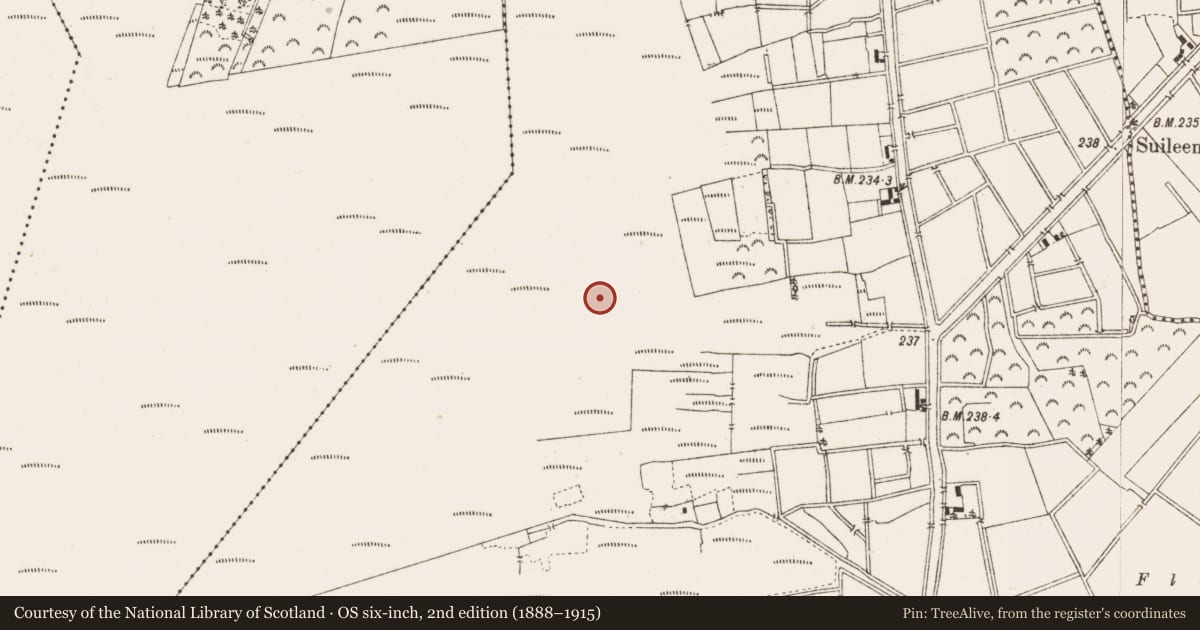 Ordnance Survey six-inch map, 2nd edition (1888–1915) covering the location of Structure - peatland, Ballykilleen, County Offaly, with a pin at the register's coordinates