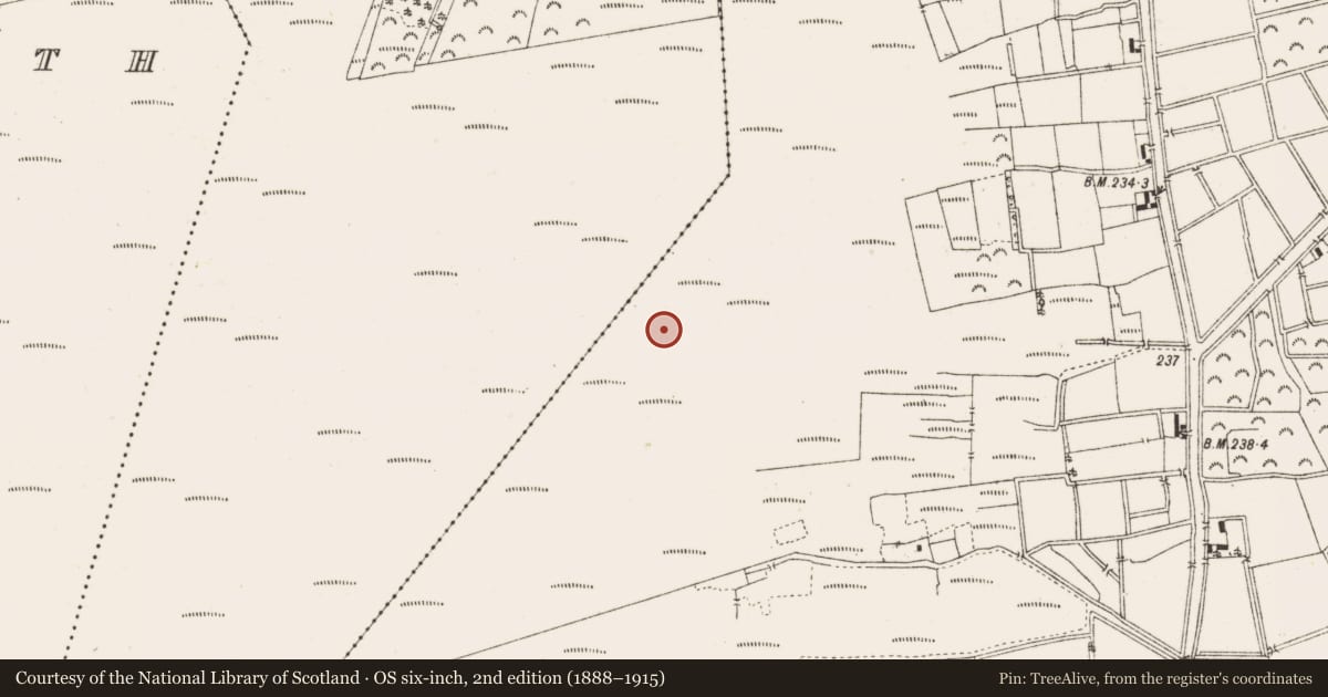 Ordnance Survey six-inch map, 2nd edition (1888–1915) covering the location of Road - class 2 togher, Ballykilleen, County Offaly, with a pin at the register's coordinates