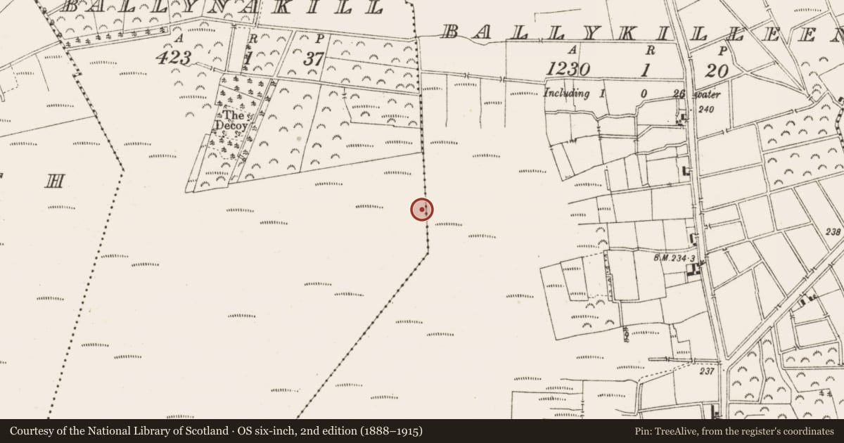 Ordnance Survey six-inch map, 2nd edition (1888–1915) covering the location of Structure - peatland, Ballynakill, County Offaly, with a pin at the register's coordinates
