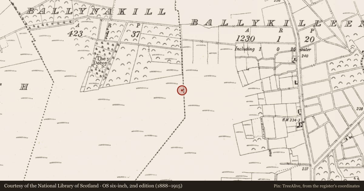 Ordnance Survey six-inch map, 2nd edition (1888–1915) covering the location of Structure - peatland, Ballynakill, County Offaly, with a pin at the register's coordinates